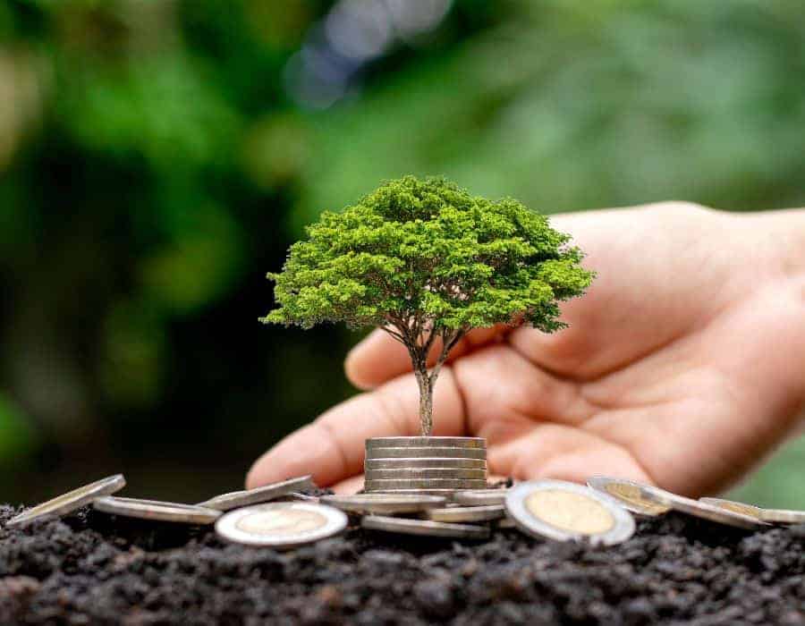 a hand holding a tree growing on coins