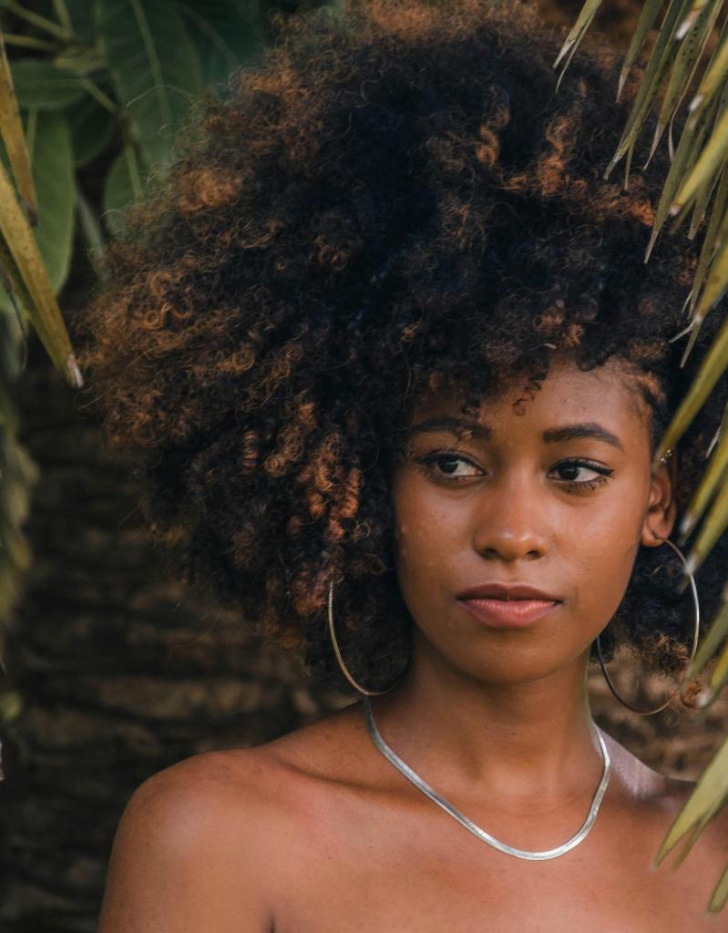 lowlights curly hair highlights